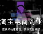 蓝Sir派·淘宝短视频快速起店，替代传统搜索方式，学会做一个不一样的淘宝店-沐风资源库