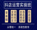 他创传媒·抖音小店系统运营实操课，从零到一系统性教学，抖店日出千单保姆级讲解-沐风资源库
