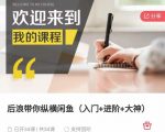 后浪带你纵横闲鱼（入门+进阶+大神），闲鱼最新玩法，简单粗暴-沐风资源库