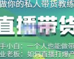 硬核传媒·直播带货（私人教练），实操实战教学，通俗易懂，学完后新手小白一个人也能做带货-沐风资源库