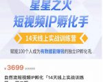 瑶瑶·自然流短视频IP孵化第二期，14天线上实战训练营，赋能100个人成为有数据能赚钱的独立IP孵化手-沐风资源库