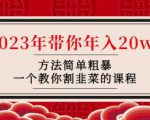 韭菜-联盟·2023年带你年入20w+方法简单粗暴，一个教你割韭菜的课程-沐风资源库