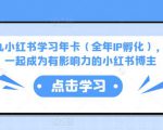 厦九九小红书学习年卡（全年IP孵化），沉浸式学习，一起成为有影响力的小红书博主-沐风资源库