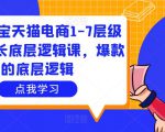 大圣淘宝天猫电商1-7层级盈利增长底层逻辑课，爆款的底层逻辑-沐风资源库