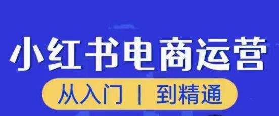 顽石小红书电商高阶运营课程，从入门到精通，玩法流程持续更新-沐风资源库