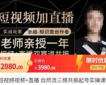张越·短视频+直播，自然流三频共振起号实操课，​短视频所有流量玩法讲解-沐风资源库