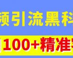 视频引流黑科技玩法，不花钱推广，视频播放量达到100万+，每日100+精准客源-沐风资源库
