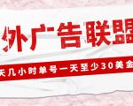 外面收费1980的最新国外LEAD广告联盟搬砖项目，单号一天至少30美金【详细玩法教程】-沐风资源库