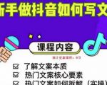 新手做抖音如何写文案，手把手实操如何拆解热门文案-沐风资源库
