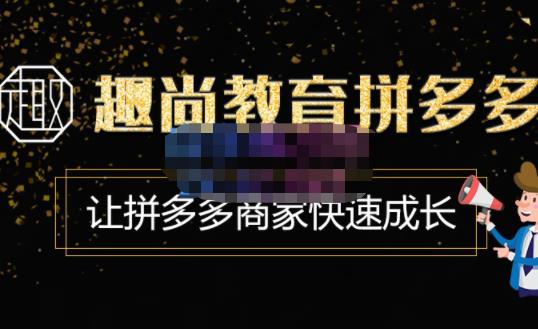 趣尚教育·拼多多运营实操VIP特训营，让拼多多商家快速成长-价值3180元-沐风资源库