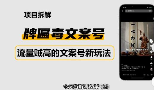 2023抖音快手毒文案新玩法，牌匾文案号，起号快易变现-沐风资源库