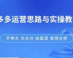 拼多多店铺运营思路与实操教程，快速学会拼多多开店和运营，少踩坑，多盈利-沐风资源库