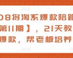 108将淘系爆款陪跑营【第11期】，21天教运营打爆款，帮老板培养运营-沐风资源库