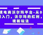 跨境电商沃尔玛平台-从0基础到入门，沃尔玛的红利，跨境新玩法-沐风资源库