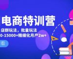 美团电商特训营：美团·店群玩法，无脑铺货月产出6000-15000+精细化月产2w+-沐风资源库