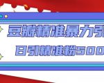 豆瓣精准暴力引流，日引精准粉500+【12课时】-沐风资源库