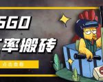外面9800的CSGO汇率搬砖项目，一个月轻松赚几千【选品软件+详细教程】-沐风资源库