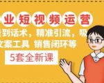 5套·美业短视频运营课从场景到话术·精准引流·吸金文案工具·销售闭环等-沐风资源库
