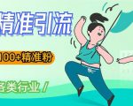 soul精准引流系列课程，一天引流100+精准粉，适合各类行业-沐风资源库