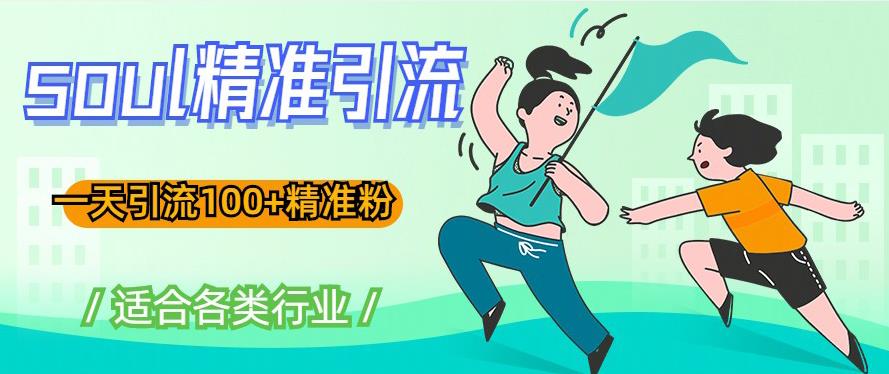 soul精准引流系列课程，一天引流100+精准粉，适合各类行业-沐风资源库