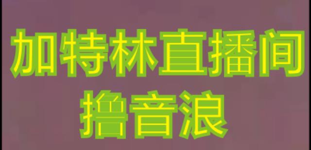 抖音加特林直播间搭建技术,抖音0粉开播,暴力撸音浪,2023新口子,每天800+【素材+详细教程】-沐风资源库