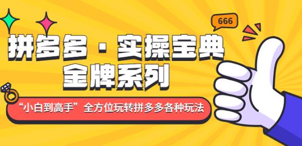 拼多多·实操宝典：金牌系列“小白到高手”带你全方位玩转拼多多各种玩法-沐风资源库