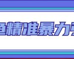 闲鱼精准暴力引流全系列课程，每天被动精准引流100+粉丝-沐风资源库