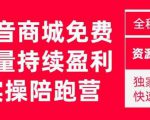 抖音商城搜索持续盈利陪跑成长营，抖音商城搜索从0-1、从1到10的全面解决方案-沐风资源库