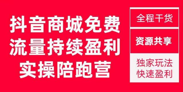抖音商城搜索持续盈利陪跑成长营，抖音商城搜索从0-1、从1到10的全面解决方案-沐风资源库