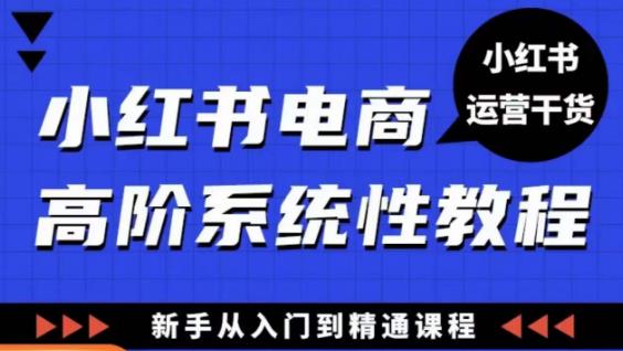 小红书电商高阶系统教程，新手从入门到精通系统课-沐风资源库