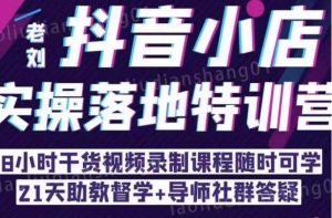抖音小店实操落地特训营：抖音小店无货源精细化运营，抖店商品卡流量（22节）-沐风资源库