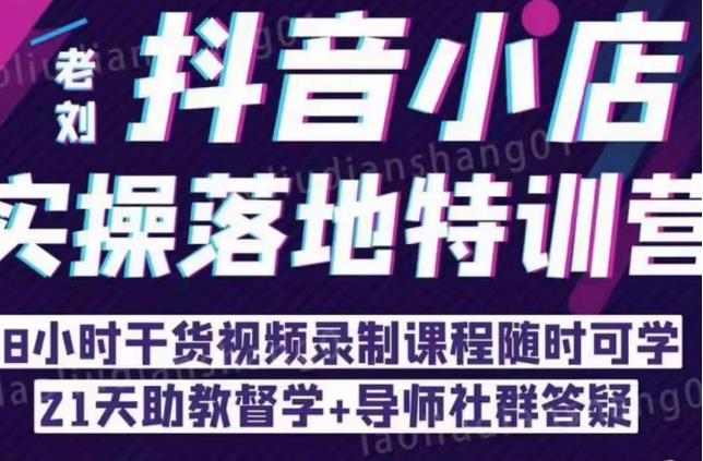 抖音小店实操落地特训营：抖音小店无货源精细化运营，抖店商品卡流量（22节）-沐风资源库