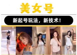 2023抖音快手短视频美女号课程制作玩法教程，美女号搬运新起号玩法，新技术（素材+教程）-沐风资源库