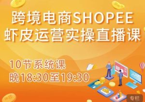 跨境电商Shopee虾皮运营实操直播课，从零开始学，入门到精通（10节系统课）-沐风资源库
