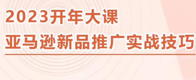 2023亚马逊新品推广实战技巧，线下百万美金课程的精简版，简单粗暴可复制，实操性强的推广手段-沐风资源库