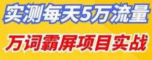 百度万词霸屏实操项目引流课，30天霸屏10万关键词-沐风资源库