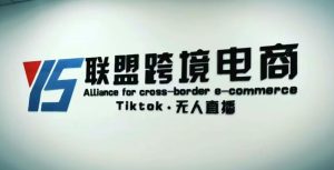 YS联盟·Tiktok无人直播，不出镜不剪辑不拍摄不发货无售后的跨境短视频躺赚玩法-沐风资源库