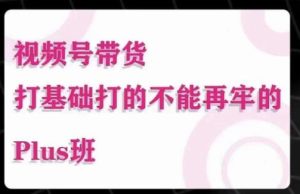 大播汇·视频号带货Puls班，视频号底层逻辑，起号自然流鱼塘等玩法-沐风资源库