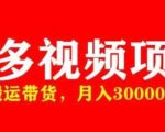 多多带货视频快速50爆款拿带货资格，搬运带货，月入30000【全套脚本+详细玩法】-沐风资源库