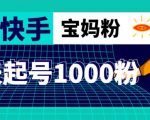抖音快手三天起号涨粉1000宝妈粉丝的核心方法【详细玩法教程】-沐风资源库