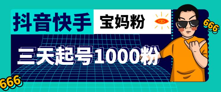 抖音快手三天起号涨粉1000宝妈粉丝的核心方法【详细玩法教程】-沐风资源库