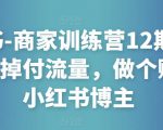 小红书-商家训练营12期：让商家丢掉付流量，做个赚钱的小红书博主-沐风资源库