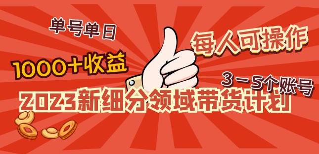 2023新细分领域带货计划：单号单日1000+收益不难，每人可操作3-5个账号-沐风资源库