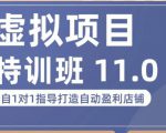 陆明明·虚拟项目特训班（10.0+11.0），0成本获取虚拟素材，0基础打造自动盈利店铺-沐风资源库