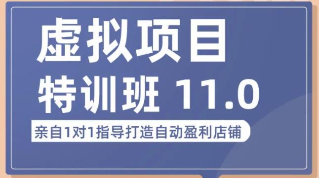 陆明明·虚拟项目特训班（10.0+11.0），0成本获取虚拟素材，0基础打造自动盈利店铺-沐风资源库