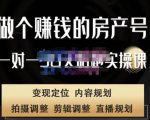 刘广标·同城房产号线上陪跑课，拍摄、剪辑、写文案、直播，做一个具有潜力价值的房产号-沐风资源库