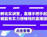 直播孵化实训营，直播手把手起号，赋能有实力想赚钱的直播团队-沐风资源库