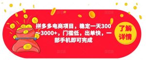 2023拼多多电商项目，稳定一天300～3000+，门槛低，出单快，一部手机即可完成-沐风资源库