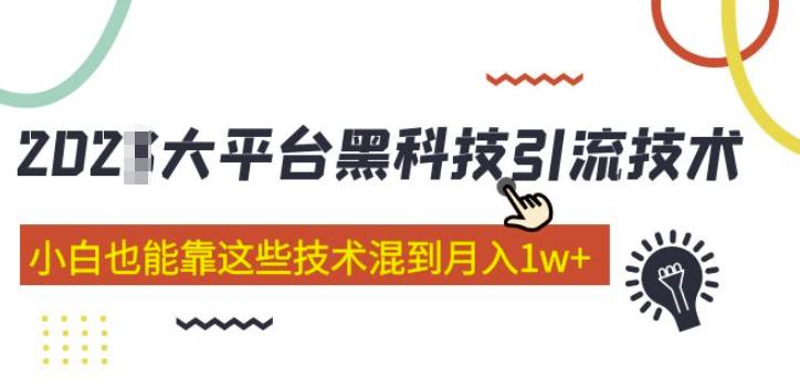 大平台黑科技引流技术，小白也能靠这些技术混到月入1w+(2022年的课程）-沐风资源库