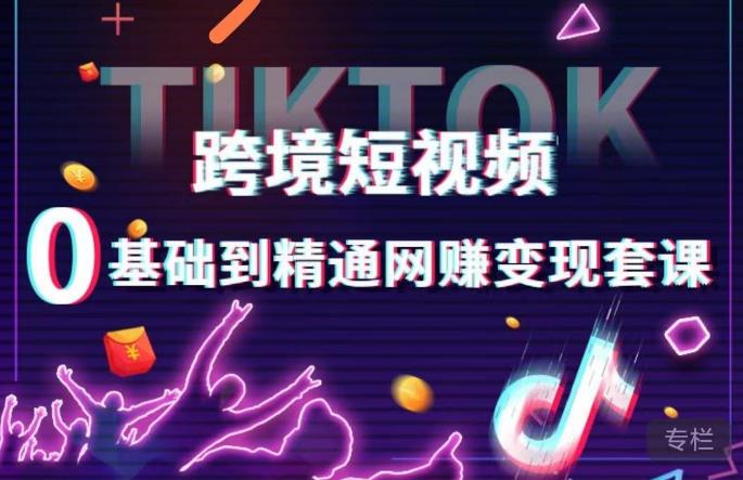 跨境短视频TIKTOK 0基础到精通网赚变现套课，跨境短视频独立站带货变现技巧-沐风资源库